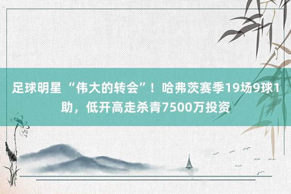 足球明星 “伟大的转会”！哈弗茨赛季19场9球1助，低开高走杀青7500万投资