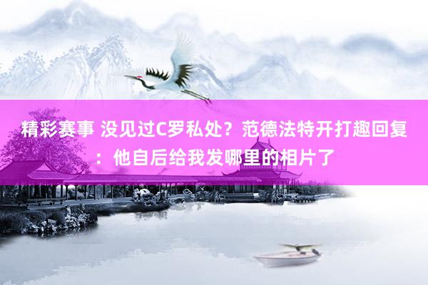 精彩赛事 没见过C罗私处？范德法特开打趣回复：他自后给我发哪里的相片了