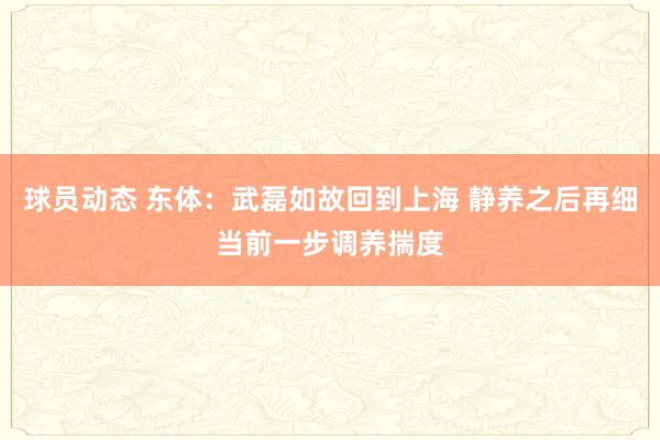 球员动态 东体：武磊如故回到上海 静养之后再细当前一步调养揣度