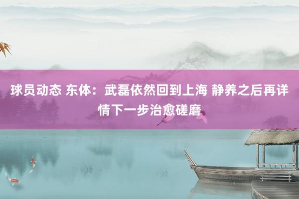 球员动态 东体：武磊依然回到上海 静养之后再详情下一步治愈磋磨