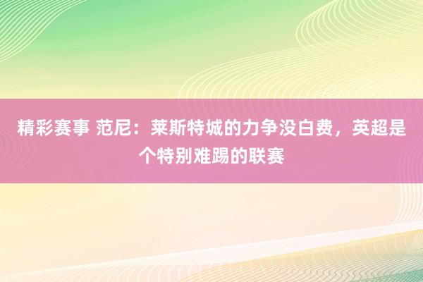 精彩赛事 范尼：莱斯特城的力争没白费，英超是个特别难踢的联赛