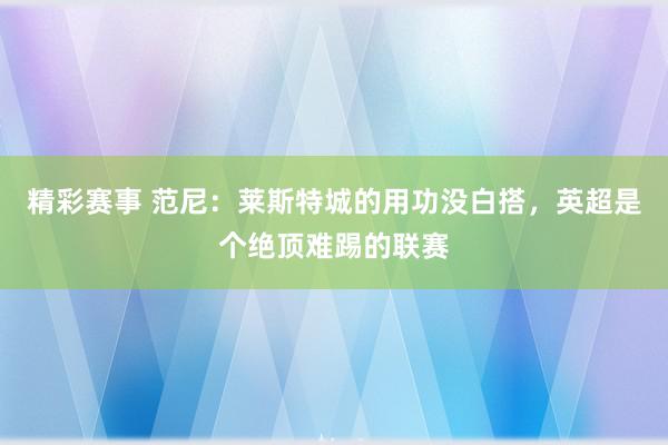 精彩赛事 范尼：莱斯特城的用功没白搭，英超是个绝顶难踢的联赛